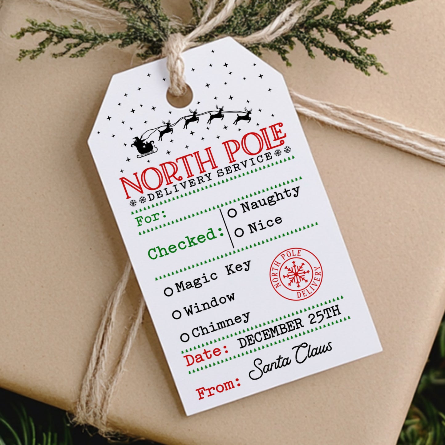 10 CHRISTMAS DELIVERY SERVICE GIFT TAGS T067