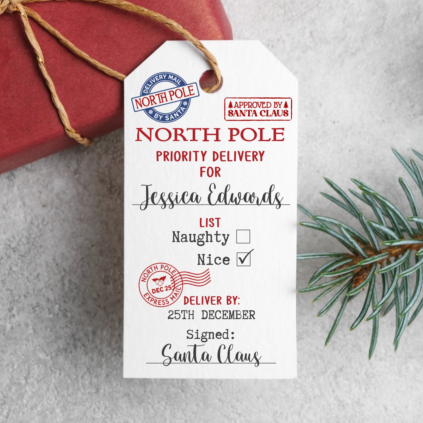PERSONALISED "SPECIAL DELIVERY" CHRISTMAS GIFT TAGS PK10 T014