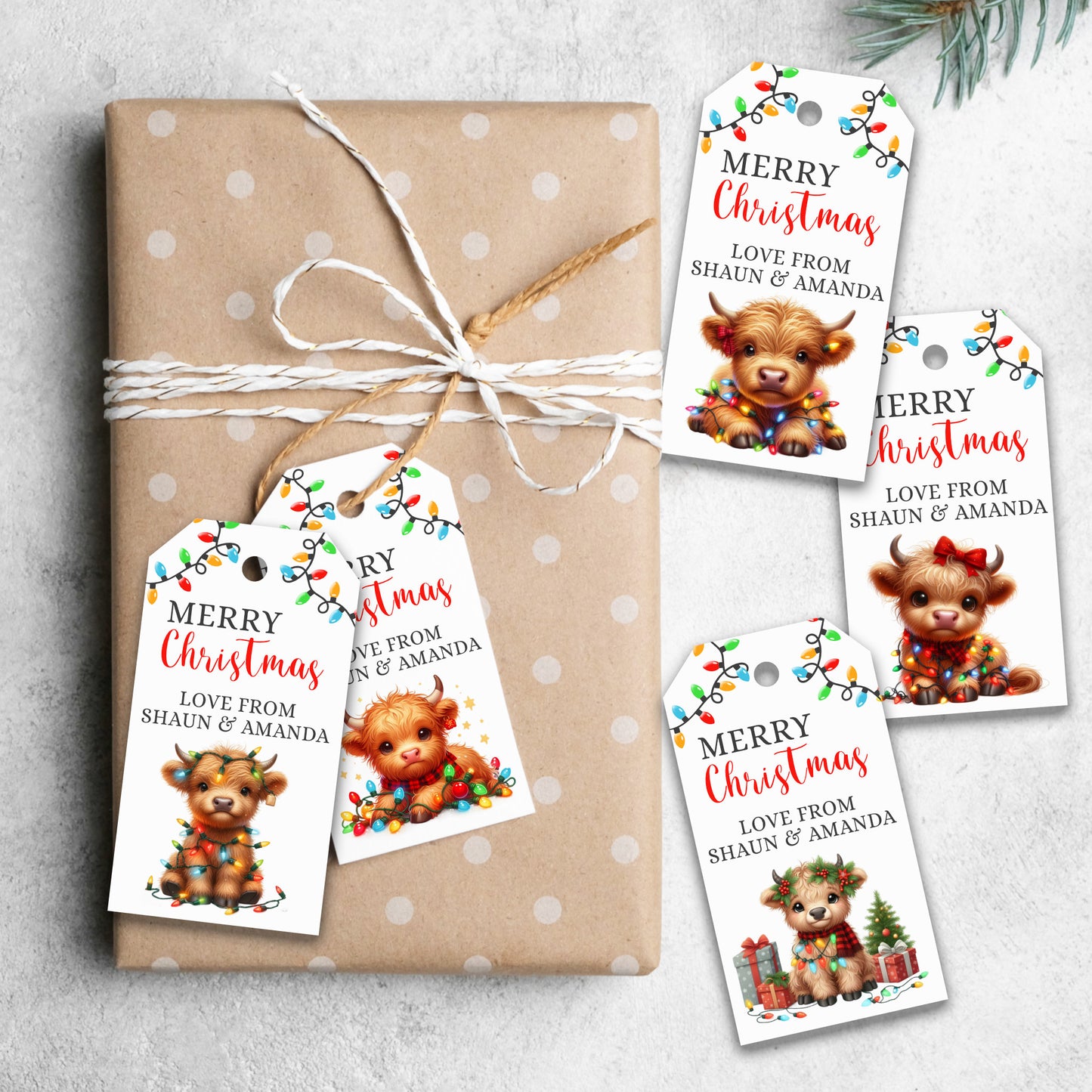 PERSONALISED PK10 CUTE HIGHLAND COW CHRISTMAS TAGS T037