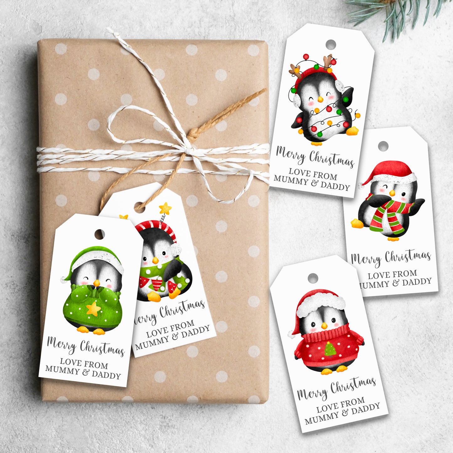 PERSONALISED PK10 CUTE PENGUIN CHRISTMAS TAGS T036