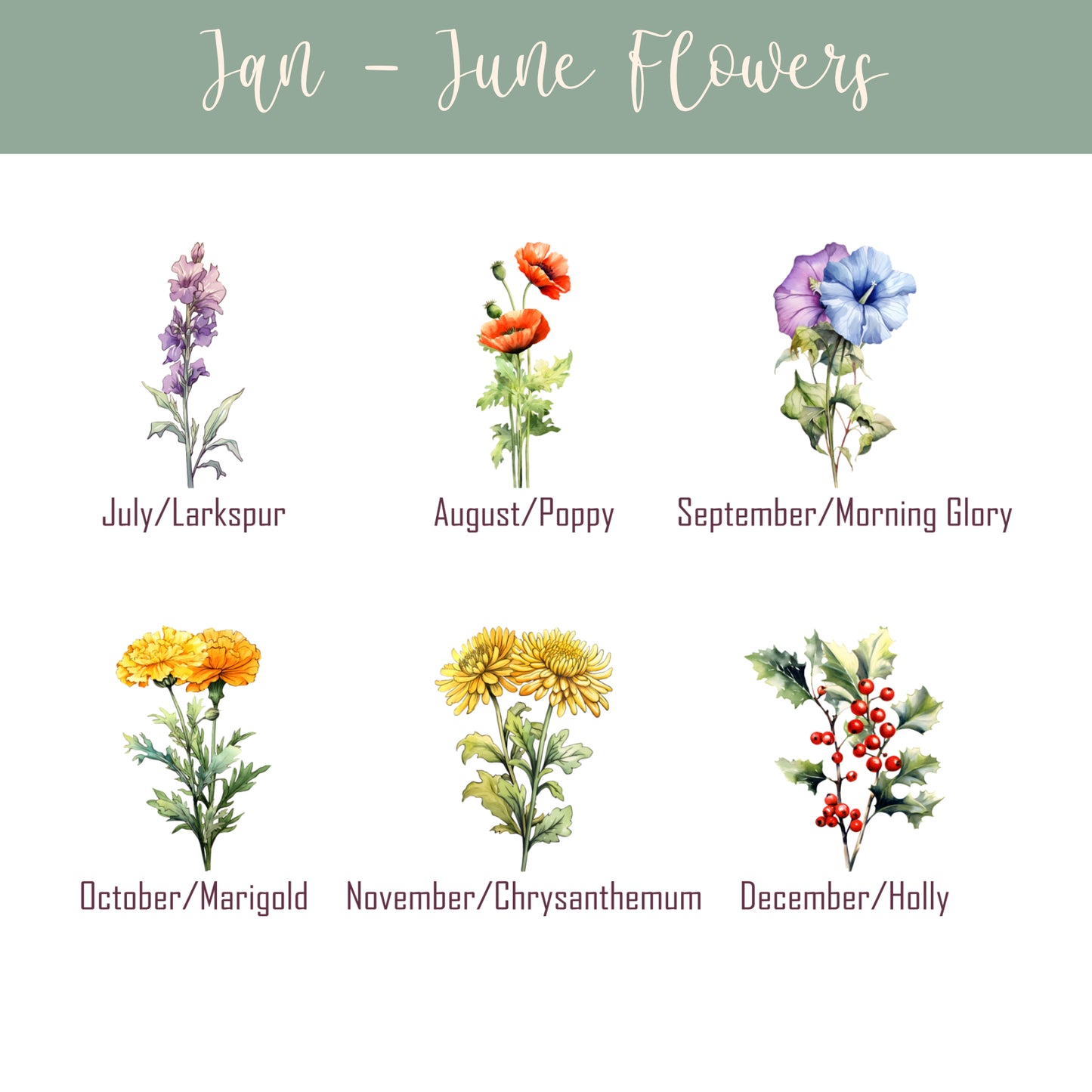 PERSONALISED BIRTH FLOWER MUG MG091