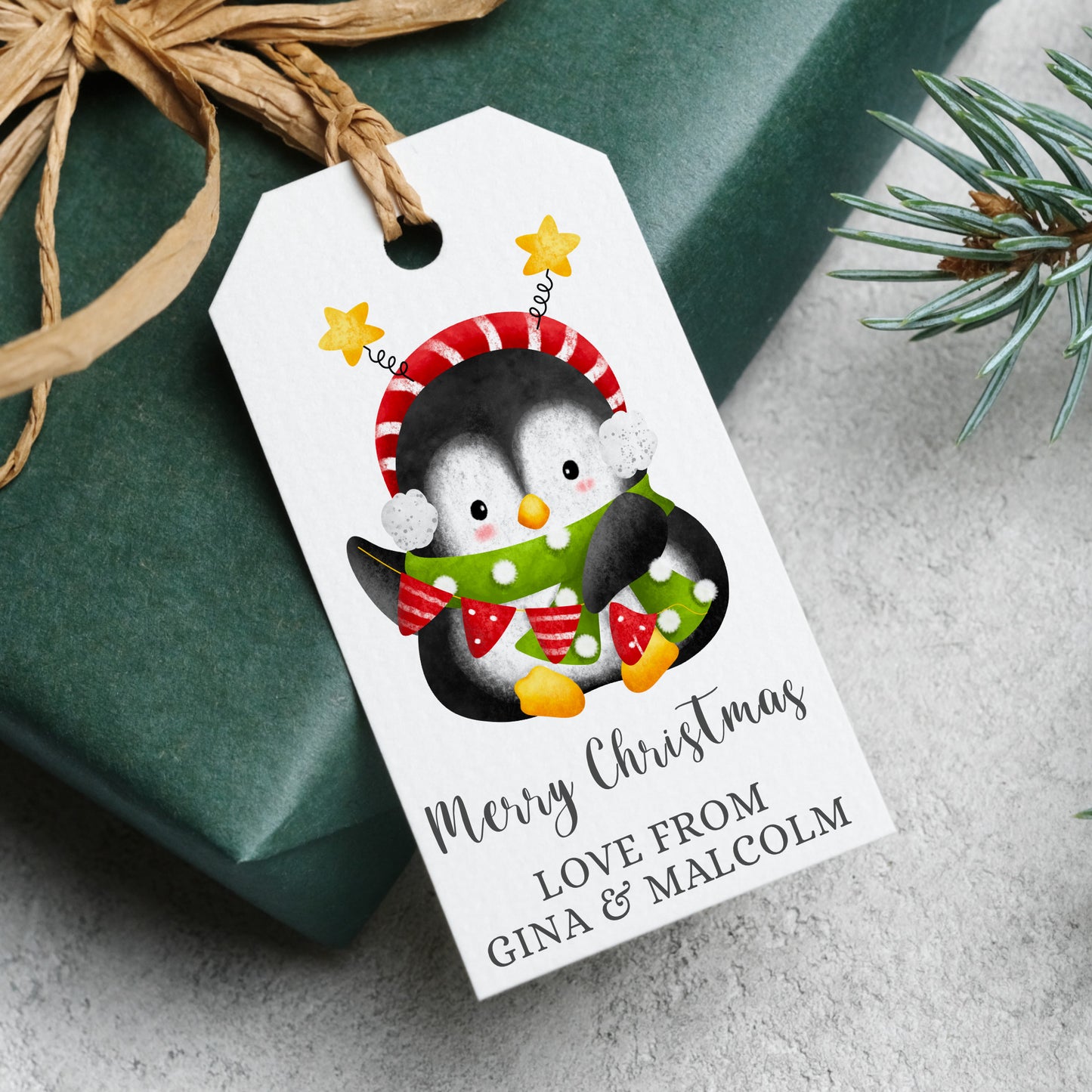 PERSONALISED PK10 CUTE PENGUIN CHRISTMAS TAGS T036