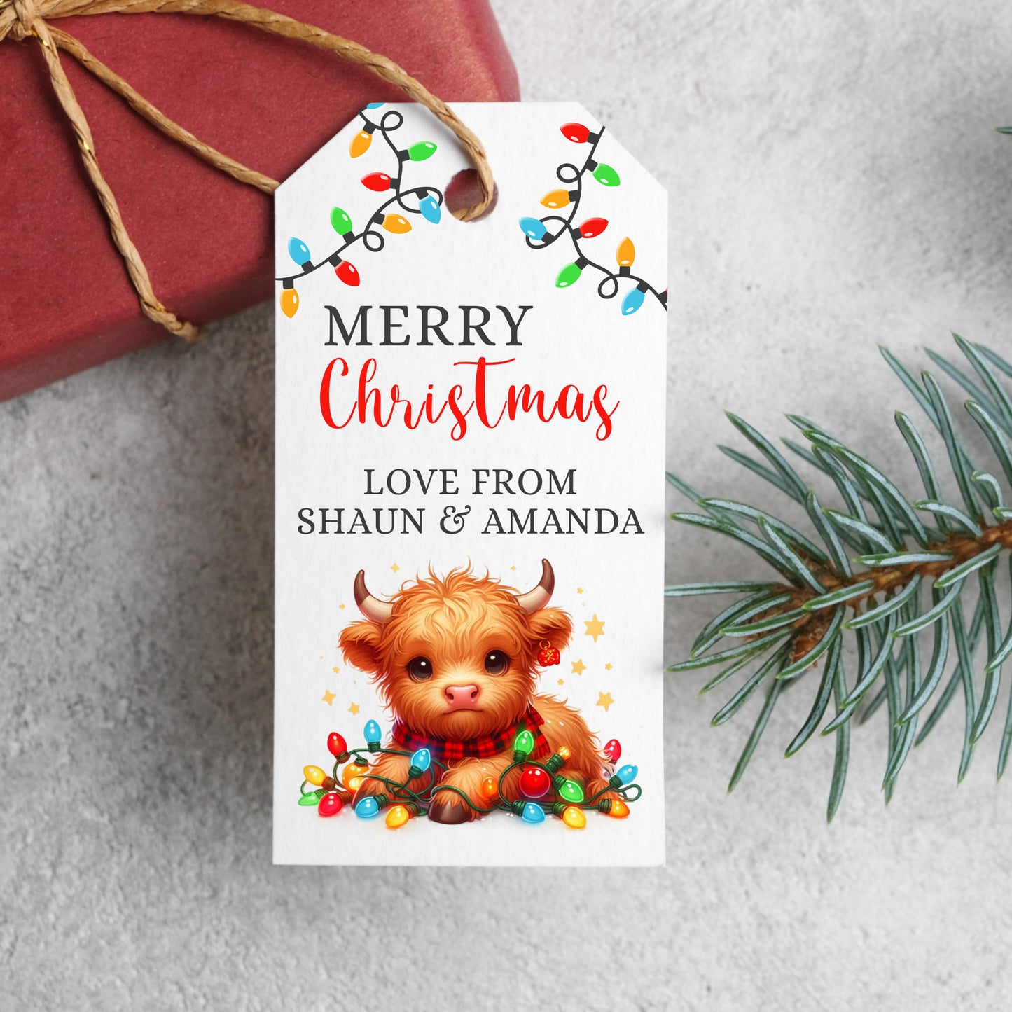 PERSONALISED PK10 CUTE HIGHLAND COW CHRISTMAS TAGS T037