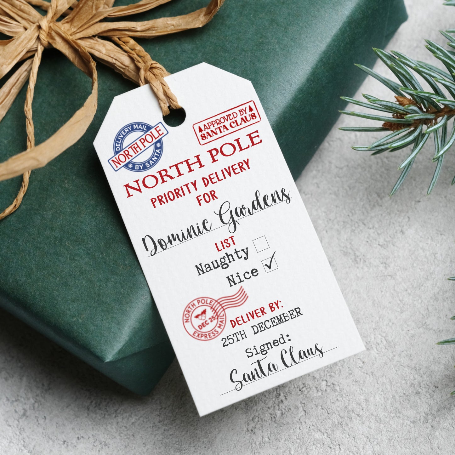 PERSONALISED "SPECIAL DELIVERY" CHRISTMAS GIFT TAGS PK10 T014