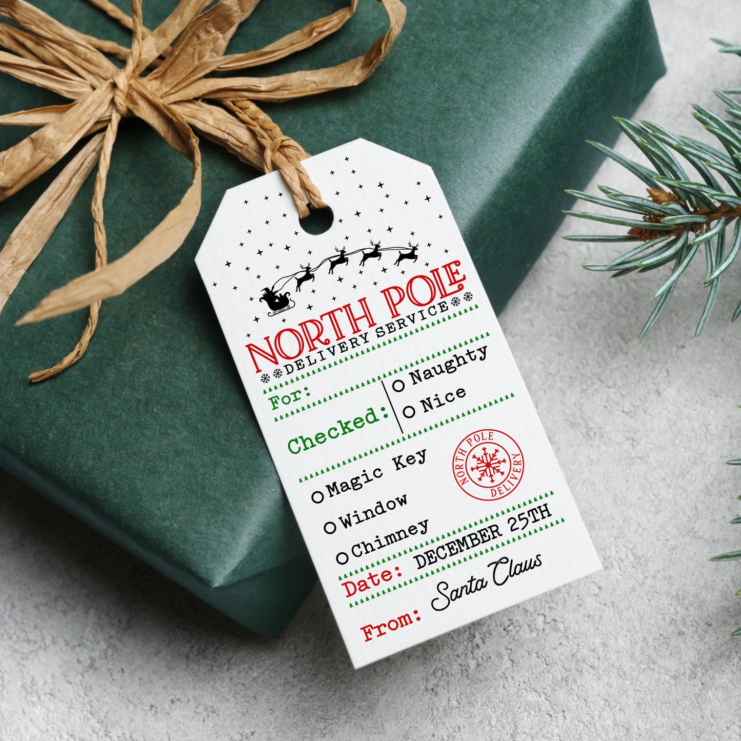 10 CHRISTMAS DELIVERY SERVICE GIFT TAGS T067