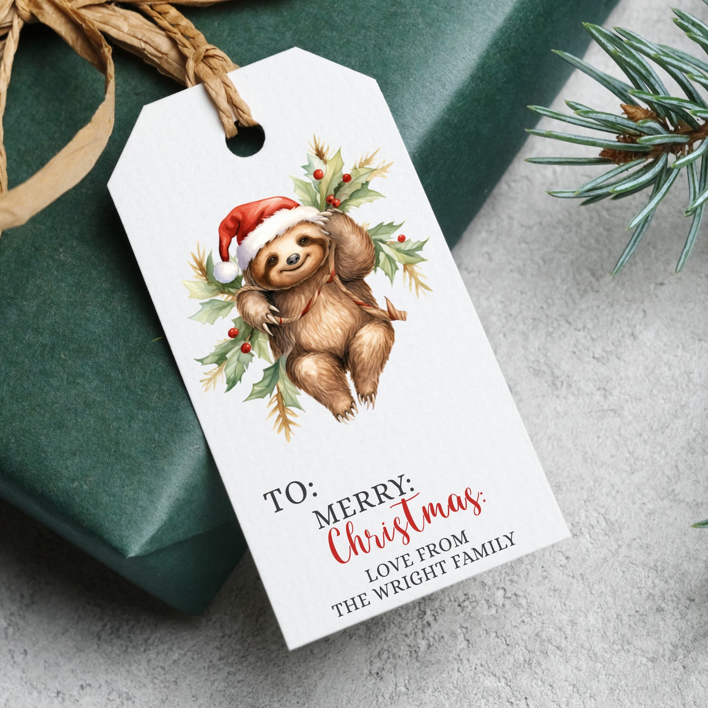 PERSONALISED PK10 CUTE SLOTH CHRISTMAS TAGS T035