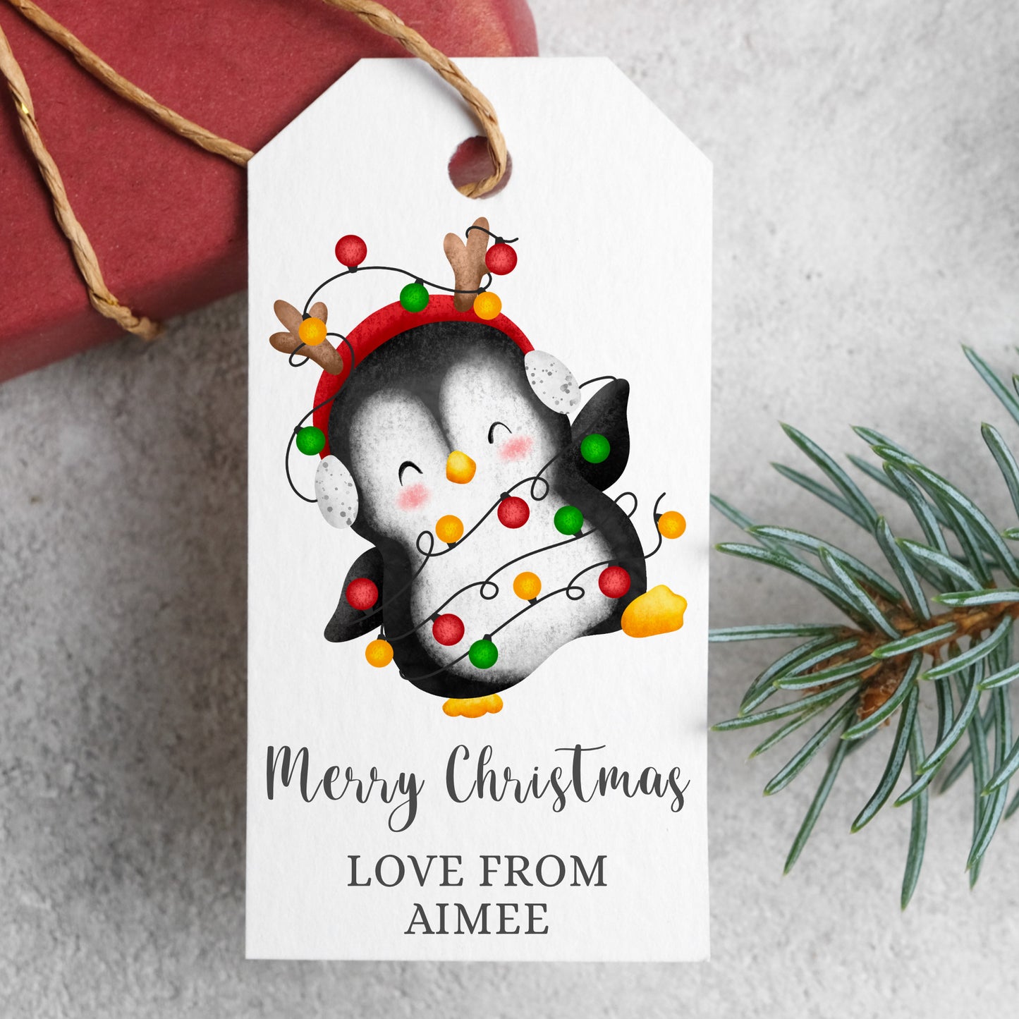 PERSONALISED PK10 CUTE PENGUIN CHRISTMAS TAGS T036
