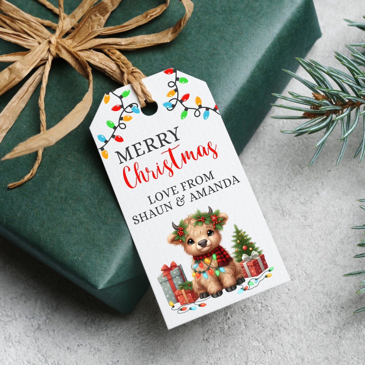 PERSONALISED PK10 CUTE HIGHLAND COW CHRISTMAS TAGS T037