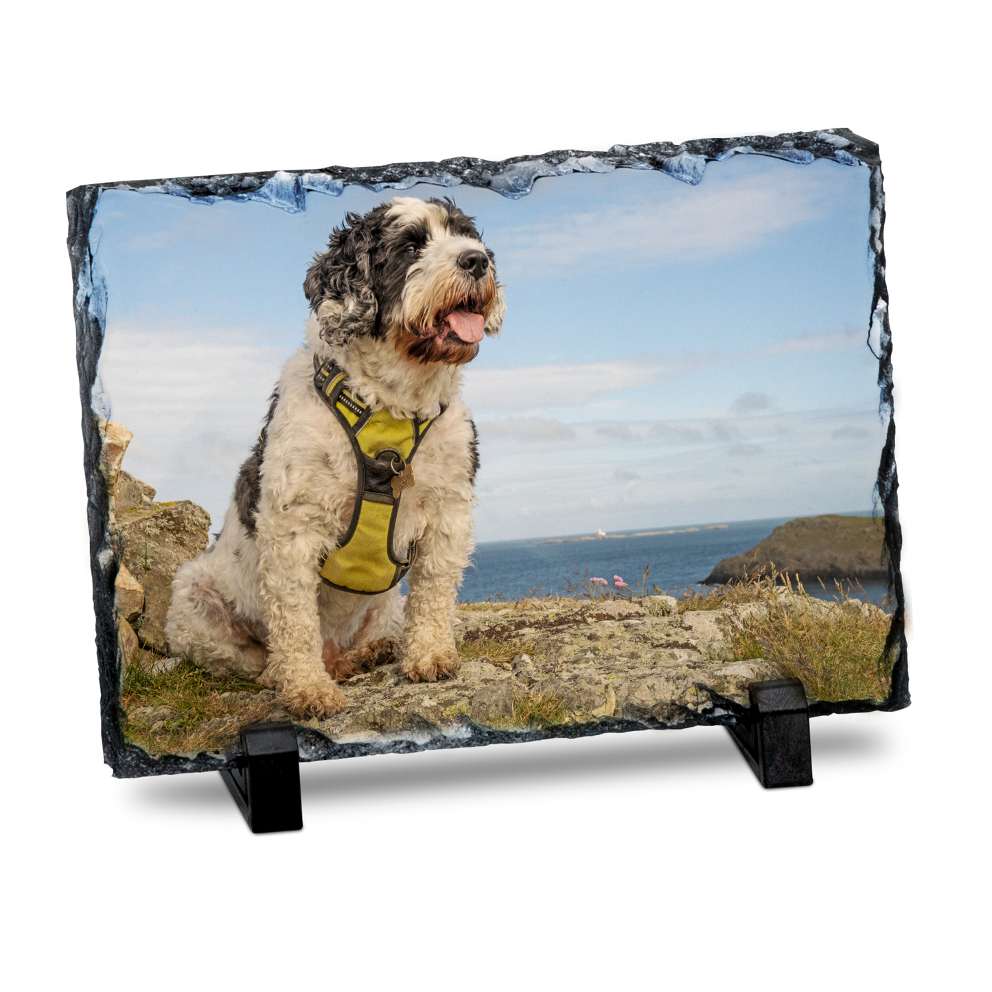 PERSONALISED PET PHOTO SLATE 15CM X 20CM