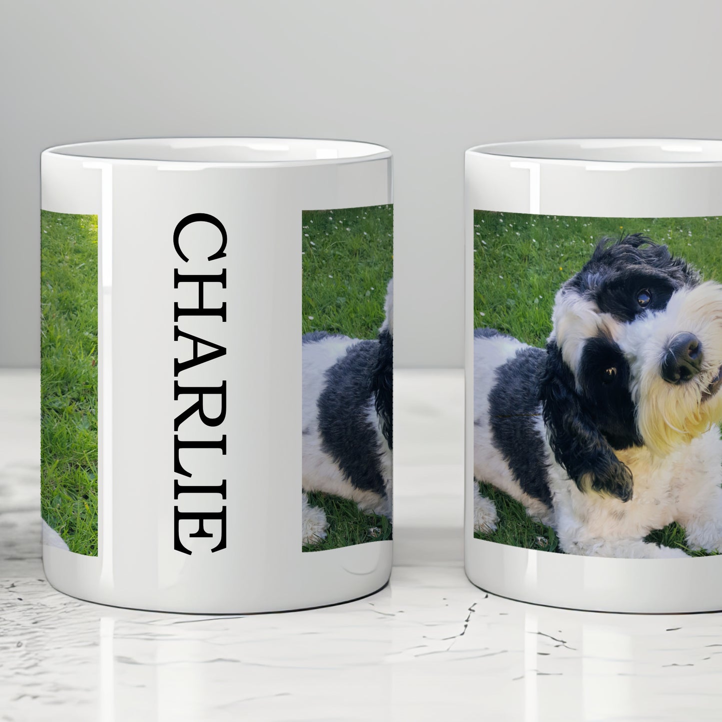 PERSONALISED PET PHOTO MUG MG127