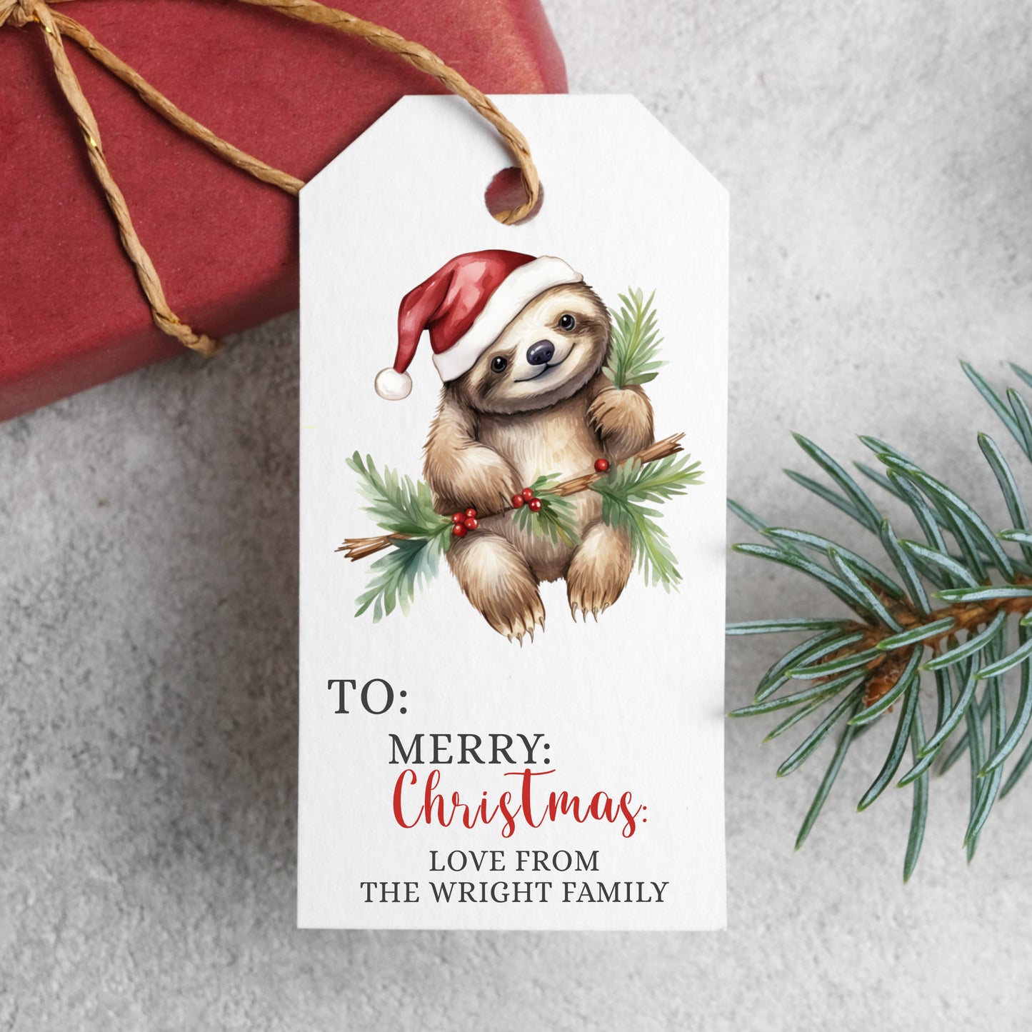 PERSONALISED PK10 CUTE SLOTH CHRISTMAS TAGS T035