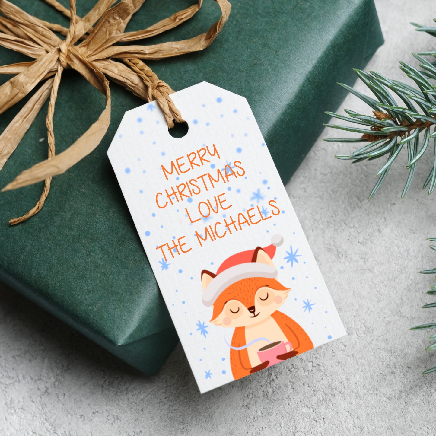 PERSONALISED CUTE ANIMAL CHRISTMAS TAGS T003