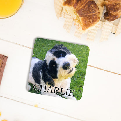 PERSONALISED PET PHOTO COASTER MG127