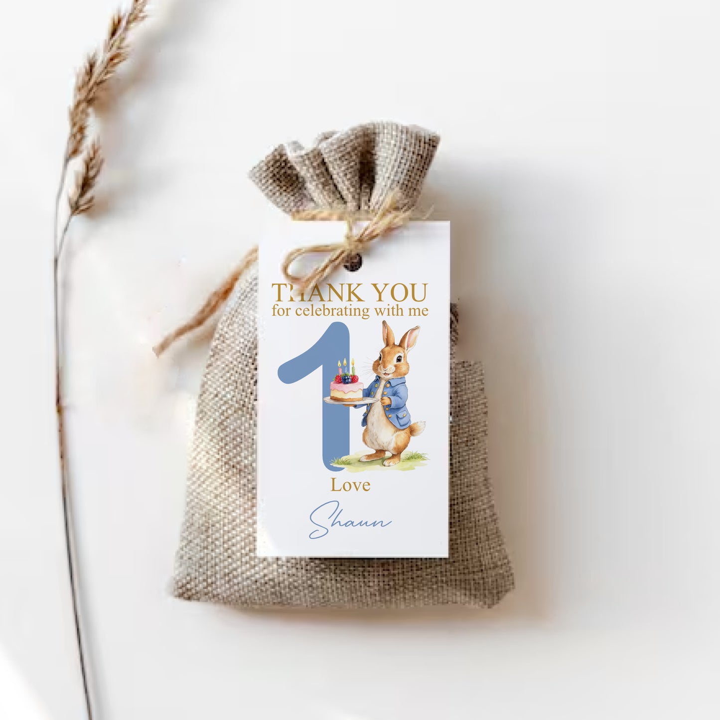 PERSONALISED PK10 PETER RABBIT BIRTHDAY TAGS T028