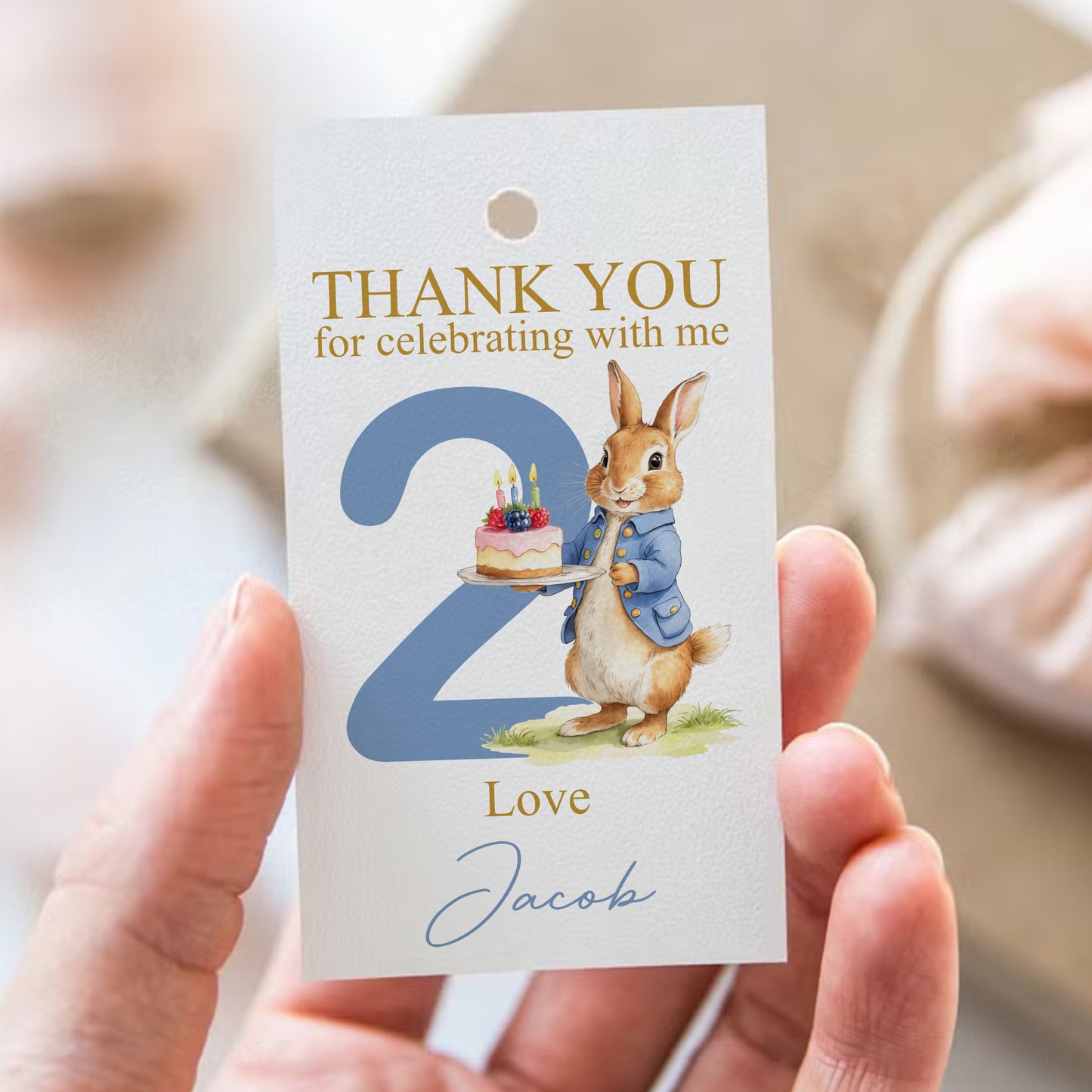 PERSONALISED PK10 PETER RABBIT BIRTHDAY TAGS T028