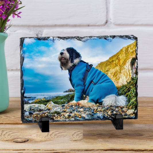 PERSONALISED PET PHOTO SLATE 15CM X 20CM